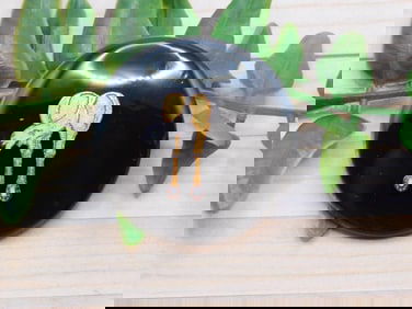 HORSE CABOCHON ROCK STONE LAPIDARY SPECIMEN