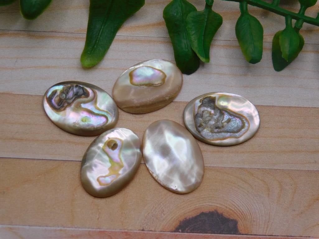 ABALONE CABOCHONS ROCK STONE LAPIDARY SPECIMEN: ABALONE CABOCHONS ROCK STONE LAPIDARY SPECIMEN