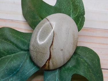 JASPER CABOCHON ROCK STONE LAPIDARY SPECIMEN