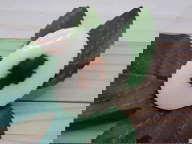 CROSS CABOCHON ROCK STONE LAPIDARY SPECIMEN