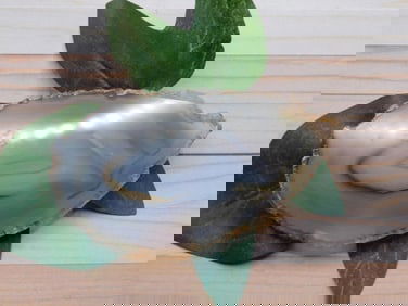 AGATE SLICE ROCK STONE LAPIDARY SPECIMEN