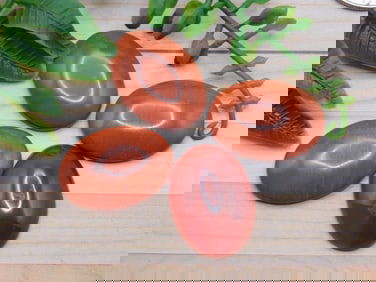 CARNELIAN CABOCHONS ROCK STONE LAPIDARY SPECIMEN