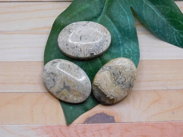 CRAZY LACE CABOCHONS ROCK STONE LAPIDARY SPECIMEN