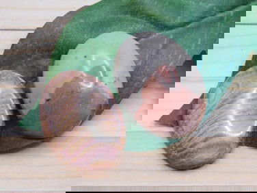 CABOCHONS ROCK STONE LAPIDARY SPECIMEN