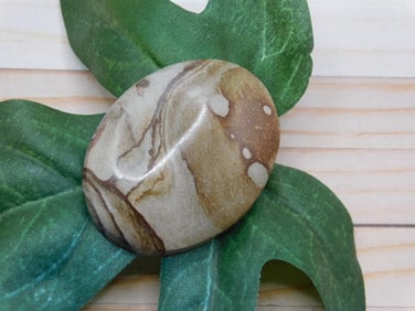 JASPER CABOCHON ROCK STONE LAPIDARY SPECIMEN