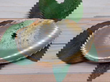 AGATE SLICE ROCK STONE LAPIDARY SPECIMEN