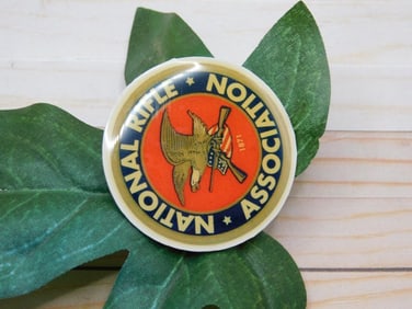 NRA CABOCHON ROCK STONE LAPIDARY SPECIMEN