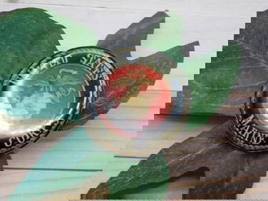 UNITED STATES MARINE CORPS CABOCHON ROCK STONE LAPIDARY SPECIMEN