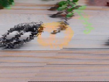 GENUINE STONE RING ROCK STONE LAPIDARY SPECIMEN