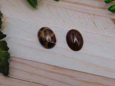 CABOCHONS ROCK STONE LAPIDARY SPECIMEN