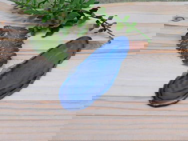 AGATE SLICE ROCK STONE LAPIDARY SPECIMEN