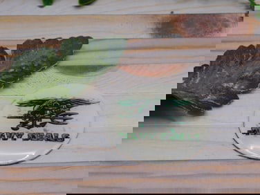 NAVY SEAL CABOCHON ROCK STONE LAPIDARY SPECIMEN