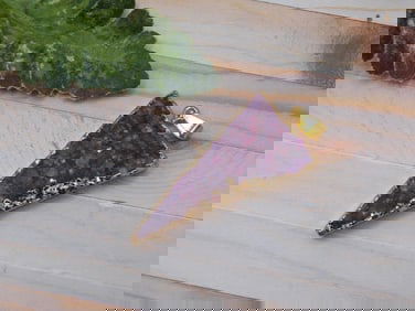 DRUZY QUARTZ PENDANT ROCK STONE LAPIDARY SPECIMEN