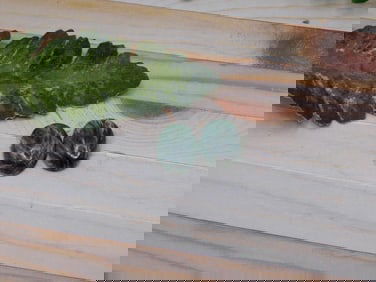 SERAPHINITE CABOCHONS ROCK STONE LAPIDARY SPECIMEN