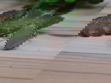 ROSE QUARTZ RING ROCK STONE LAPIDARY SPECIMEN