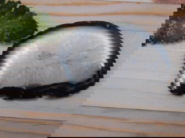 AGATE SLICE ROCK STONE LAPIDARY SPECIMEN