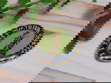 ARMY NATIONAL GUARD CABOCHON ROCK STONE LAPIDARY SPECIMEN