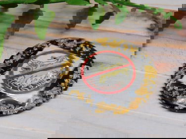 NO BULL CABOCHON ROCK STONE LAPIDARY SPECIMEN