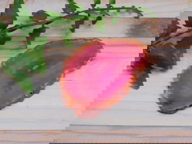 GEODE SLICE ROCK STONE LAPIDARY SPECIMEN