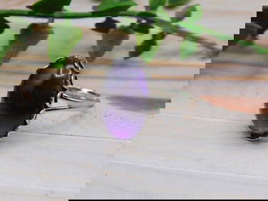 ABALONE RING ROCK STONE LAPIDARY SPECIMEN