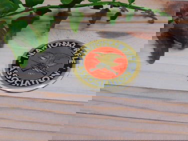 NRA CABOCHON ROCK STONE LAPIDARY SPECIMEN