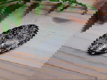 SILVER FLECKED CABOCHON ROCK STONE LAPIDARY SPECIMEN