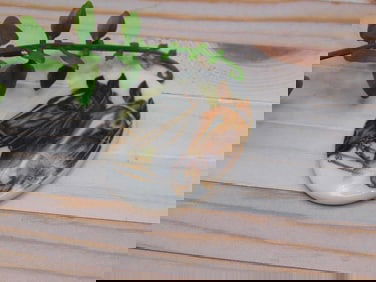 HORSE CABOCHON ROCK STONE LAPIDARY SPECIMEN