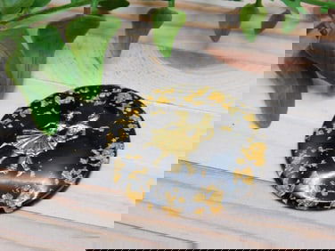 GOLD FLECKED DANCERS CABOCHON ROCK STONE LAPIDARY SPECIMEN