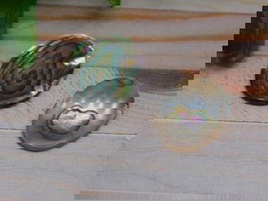 ABALONE CABOCHONS ROCK STONE LAPIDARY SPECIMEN