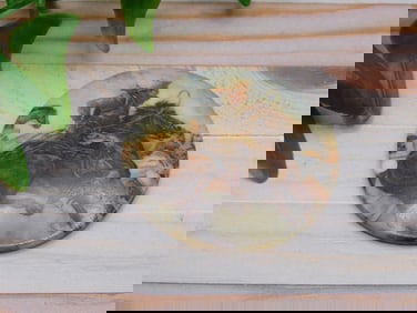 COWBOY CABOCHON ROCK STONE LAPIDARY SPECIMEN