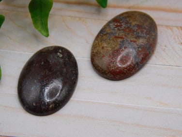 DINOSAUR BONE CABOCHONS ROCK STONE LAPIDARY SPECIMEN