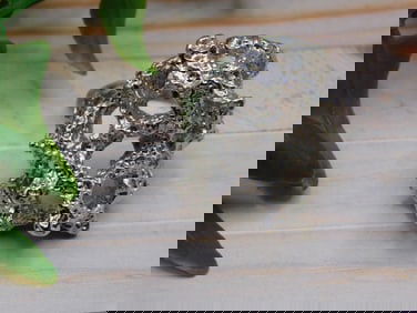 SILVER CLUSTER RING ROCK STONE LAPIDARY SPECIMEN