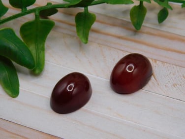 CARNELIAN CABOCHONS ROCK STONE LAPIDARY SPECIMEN