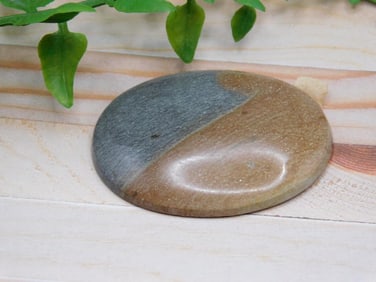 JASPER CABOCHON ROCK STONE LAPIDARY SPECIMEN