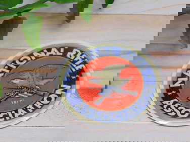 NRA CABOCHON ROCK STONE LAPIDARY SPECIMEN