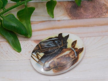 HORSE CABOCHON ROCK STONE LAPIDARY SPECIMEN