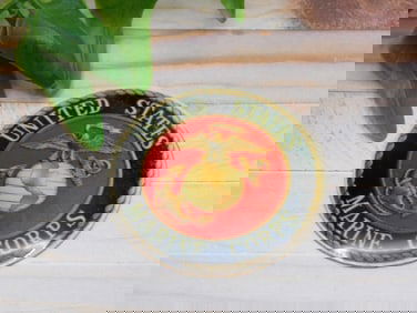 UNITED STATES MARINE CORPS CABOCHON ROCK STONE LAPIDARY SPECIMEN