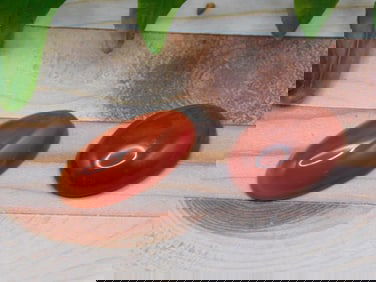 CARNELIAN CABOCHONS ROCK STONE LAPIDARY SPECIMEN