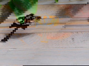 ANKH RING ROCK STONE LAPIDARY SPECIMEN