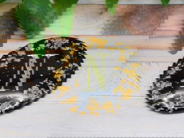 GOLD FLECKED N CABOCHON ROCK STONE LAPIDARY SPECIMEN