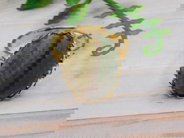 JASPER RING ROCK STONE LAPIDARY SPECIMEN