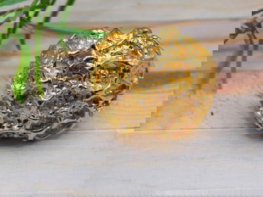 GOLD CLUSTER RING ROCK STONE LAPIDARY SPECIMEN