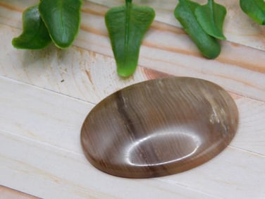 CABOCHON ROCK STONE LAPIDARY SPECIMEN