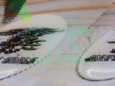 NAVY SEAL CABOCHON ROCK STONE LAPIDARY SPECIMEN