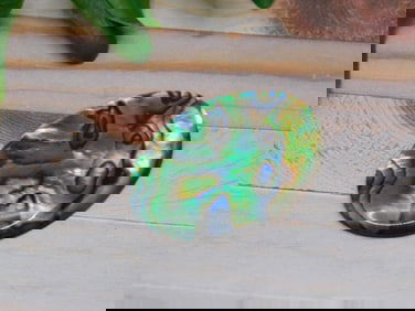 ABALONE CABOCHON ROCK STONE LAPIDARY SPECIMEN