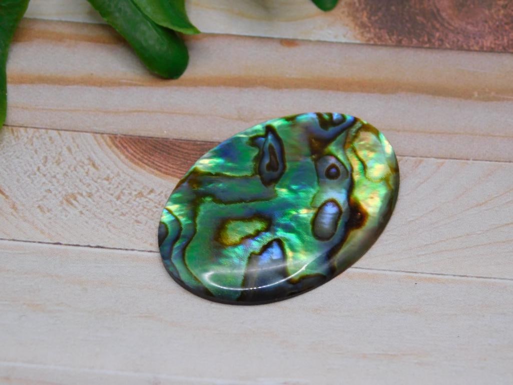 ABALONE CABOCHON ROCK STONE LAPIDARY SPECIMEN: ABALONE CABOCHON ROCK STONE LAPIDARY SPECIMEN