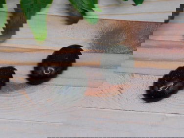 GREEN GOLDSTONE CABOCHON ROCK STONE LAPIDARY SPECIMEN