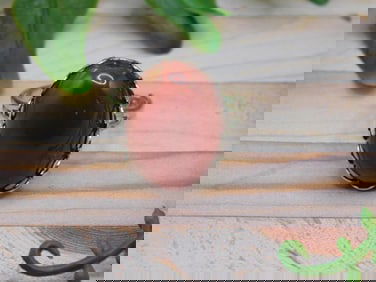 CARNELIAN RING ROCK STONE LAPIDARY SPECIMEN