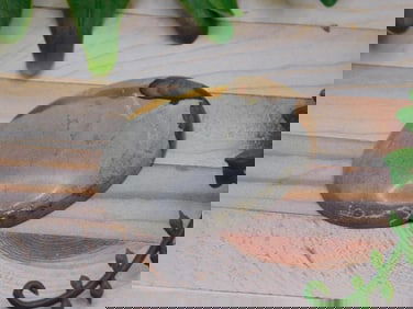 JASPER CABOCHON ROCK STONE LAPIDARY SPECIMEN