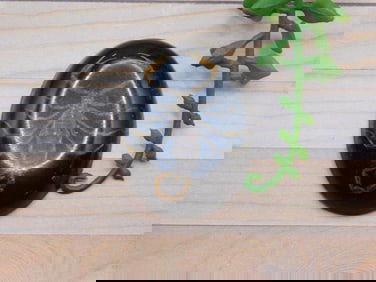 SCORPION CABOCHON ROCK STONE LAPIDARY SPECIMEN